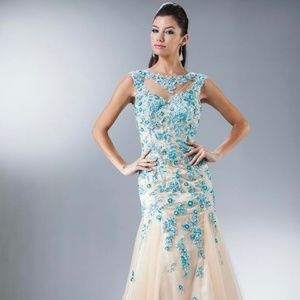 Cinderella Divine 7965